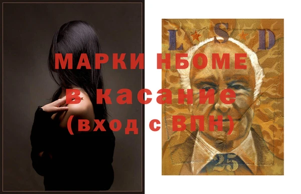 стаф Алзамай