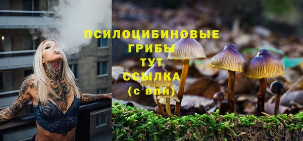 стаф Алзамай