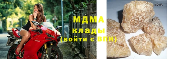 стаф Алзамай