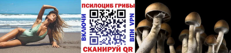сайты даркнета наркотические препараты  Мыски  Псилоцибиновые грибы MAGIC MUSHROOMS 